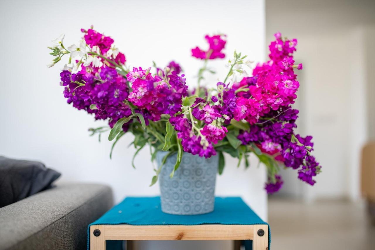 Apartment Sliema, Savoia Luxury For 5 Guests